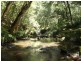 Lot 31 Cells River Rd, Yarras NSW 2446