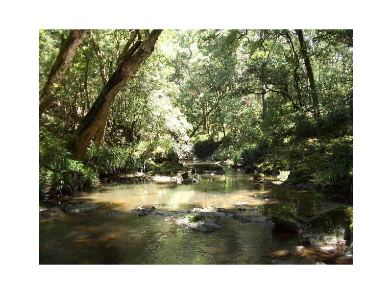 Lot 31 Cells River Rd, Yarras NSW 2446
