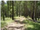 Lot 31 Cells River Rd, Yarras NSW 2446