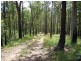 Lot 31 Cells River Rd, Yarras NSW 2446