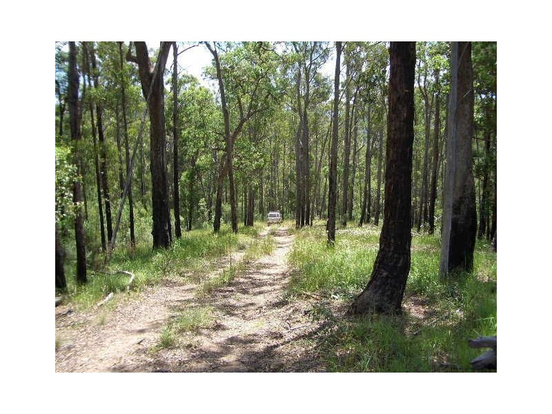 Lot 31 Cells River Rd, Yarras NSW 2446