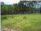 Lot 31 Cells River Rd, Yarras NSW 2446