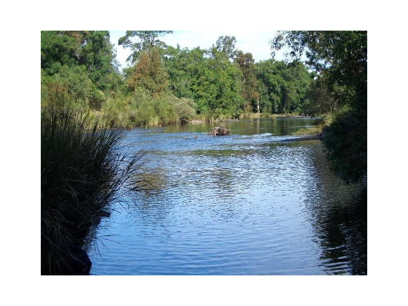 129 Koree Island Road, Beechwood NSW 2446