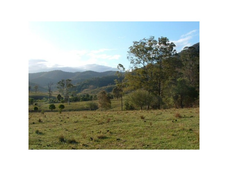 57 Willowglen Road, Kindee NSW 2446