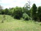 DP 754416 Parsons Road (Ducks Ridge Road), Comboyne NSW 2429