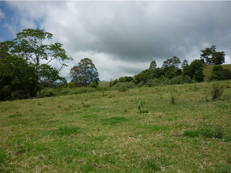 DP 754416 Parsons Road (Ducks Ridge Road), Comboyne NSW 2429