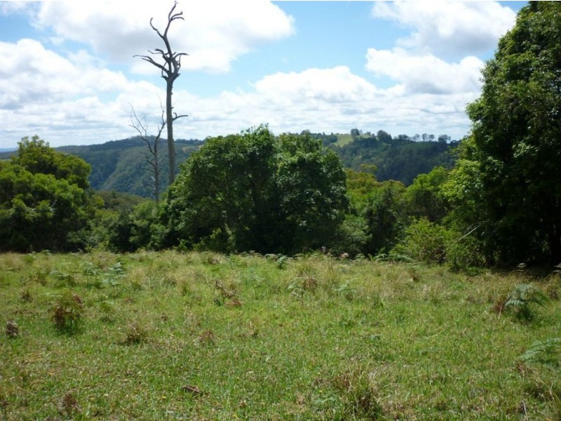DP 754416 Parsons Road (Ducks Ridge Road), Comboyne NSW 2429
