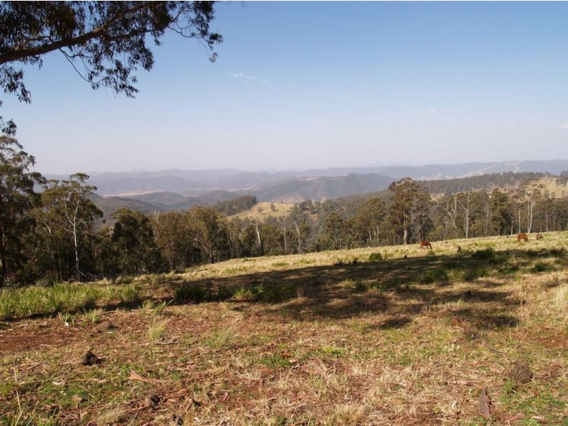 145 Costigans Road, Yarras NSW 2446