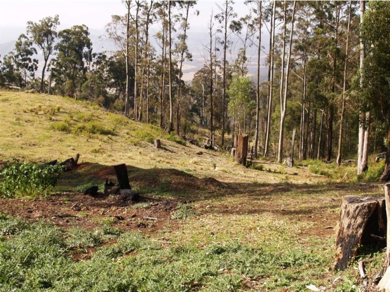 145 Costigans Road, Yarras NSW 2446