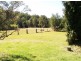 68 West Frazers Creek Road, Beechwood NSW 2446