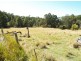 68 West Frazers Creek Road, Beechwood NSW 2446
