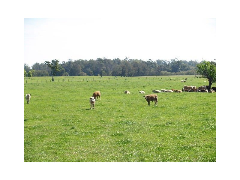 225 Ennis Rd, Wauchope NSW 2446