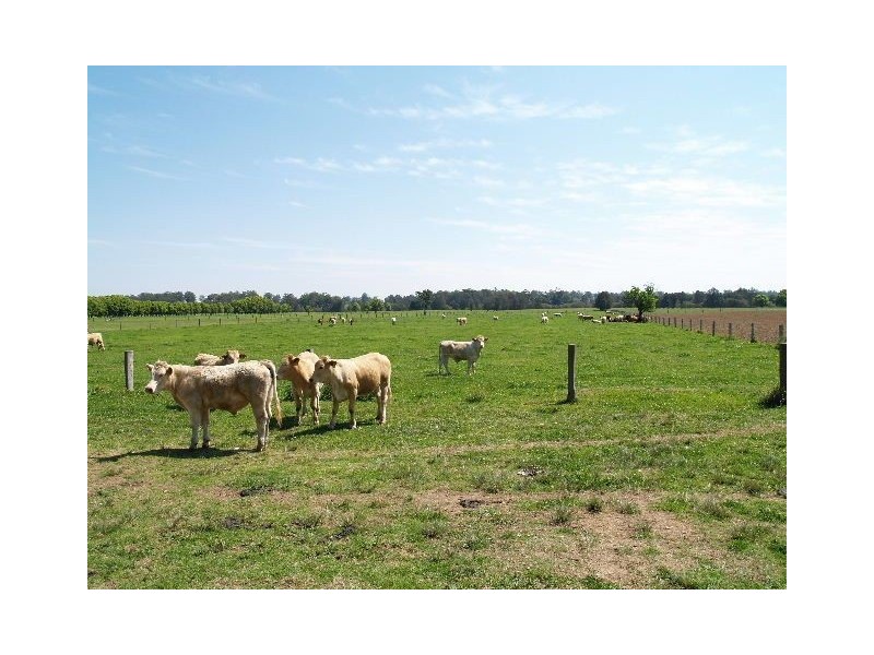 225 Ennis Rd, Wauchope NSW 2446