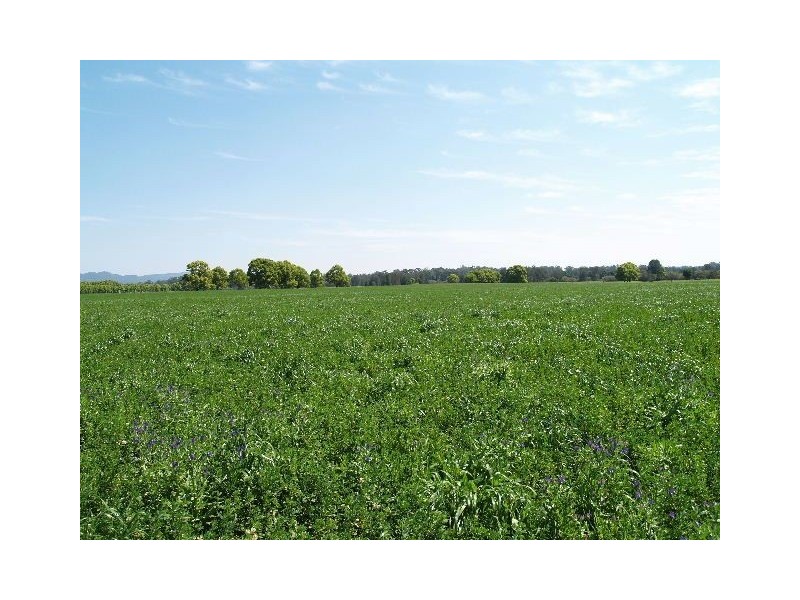 225 Ennis Rd, Wauchope NSW 2446