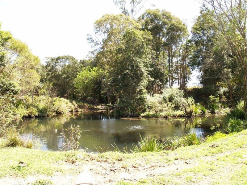 157 Gum Scrub Rd, Gum Scrub NSW 2441
