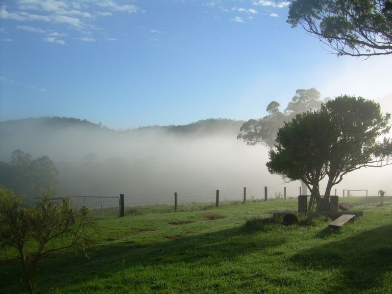 164 Sharkeys Rd, Bellangry NSW 2446