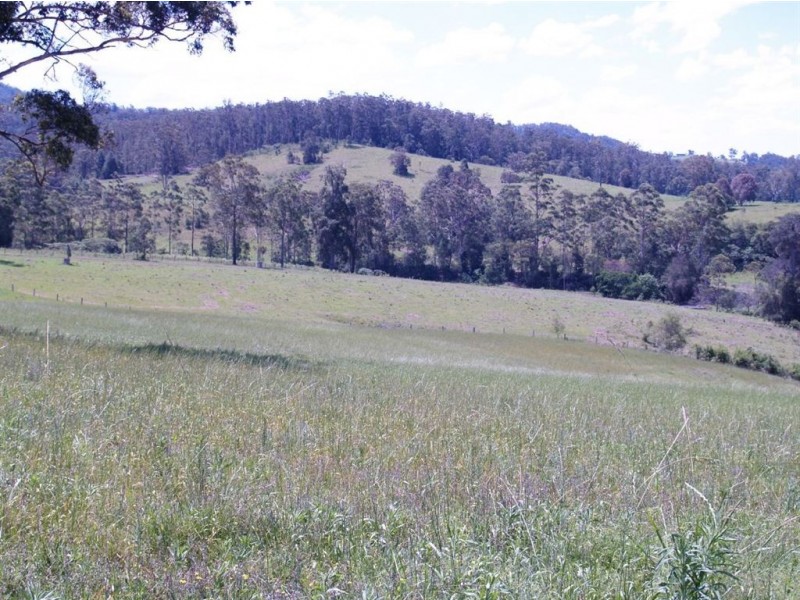 164 Sharkeys Rd, Bellangry NSW 2446