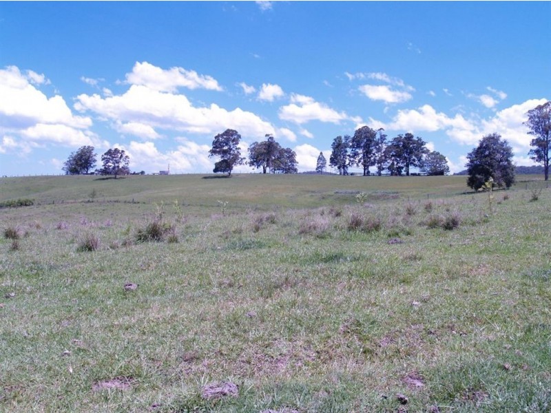 164 Sharkeys Rd, Bellangry NSW 2446