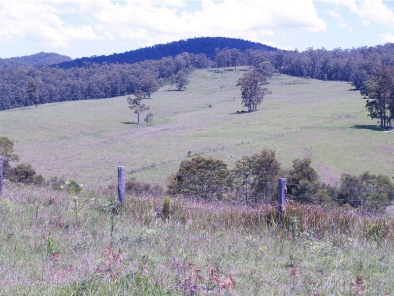 164 Sharkeys Rd, Bellangry NSW 2446