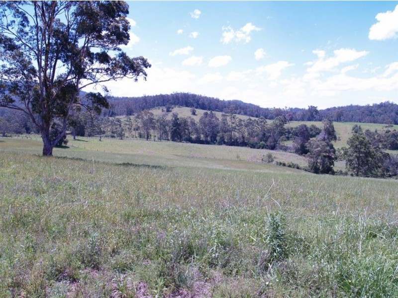 164 Sharkeys Rd, Bellangry NSW 2446