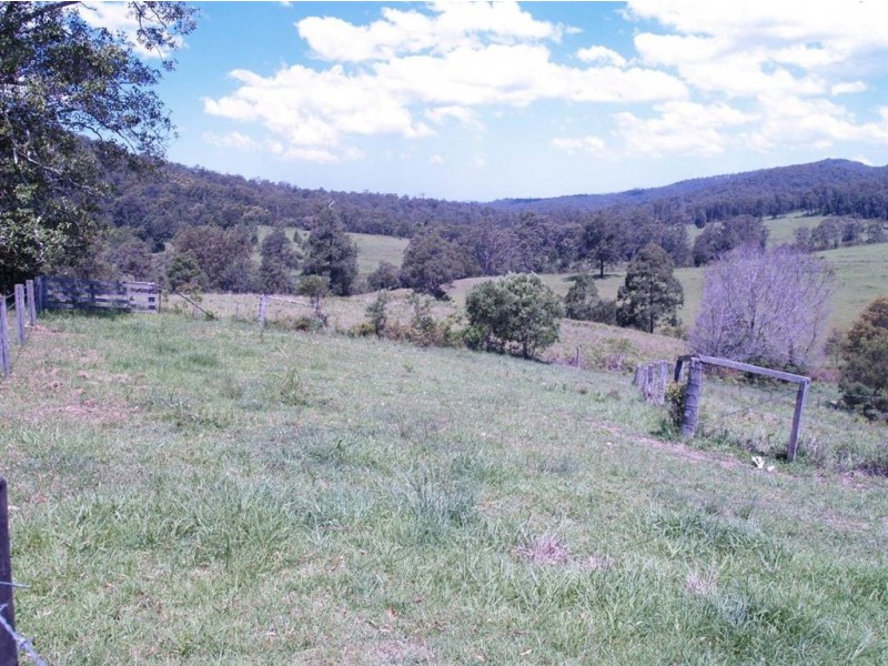 164 Sharkeys Rd, Bellangry NSW 2446