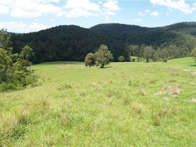 164 Sharkeys Rd, Bellangry NSW 2446