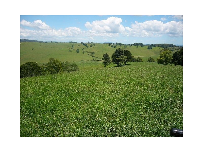 4 Ingleside Rd, Comboyne NSW 2429