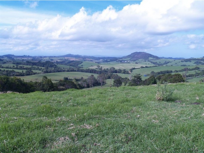 493 Latimores Road, Comboyne NSW 2429