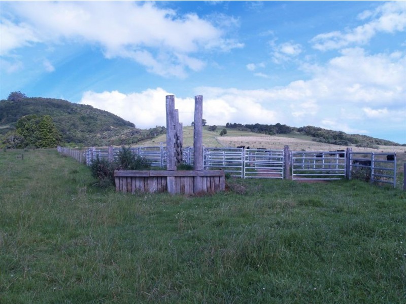 493 Latimores Road, Comboyne NSW 2429