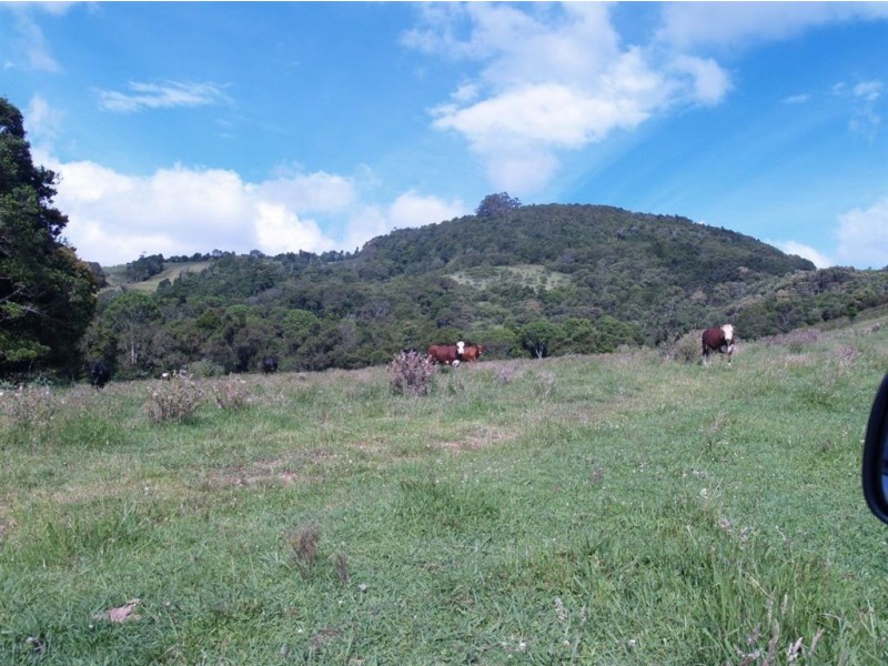 493 Latimores Road, Comboyne NSW 2429