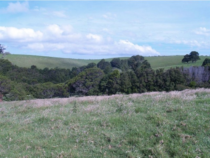 493 Latimores Road, Comboyne NSW 2429