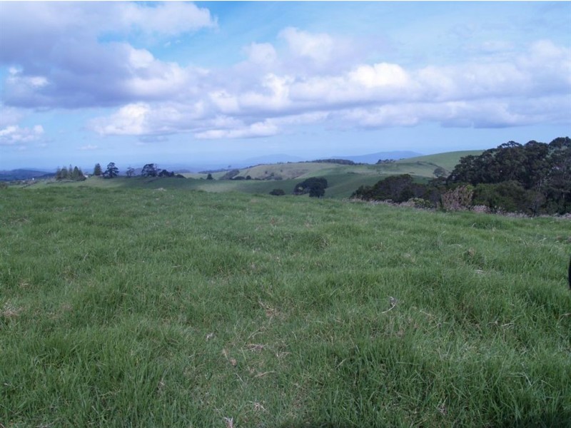 493 Latimores Road, Comboyne NSW 2429