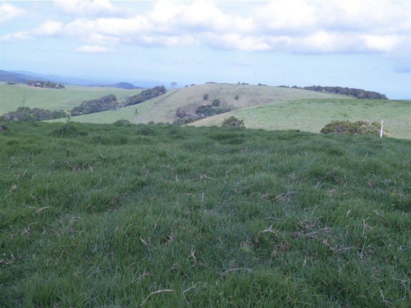 493 Latimores Road, Comboyne NSW 2429