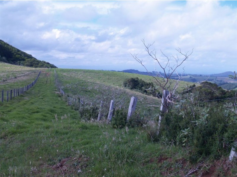 493 Latimores Road, Comboyne NSW 2429