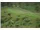 Sunnyside Kindee Road, Kindee NSW 2446