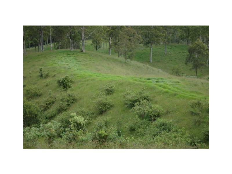 Sunnyside Kindee Road, Kindee NSW 2446