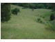 Sunnyside Kindee Road, Kindee NSW 2446