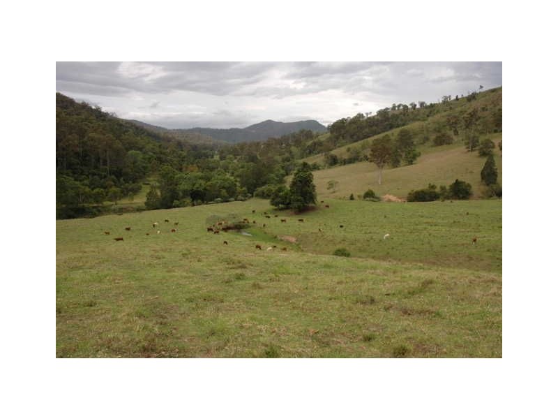 Sunnyside Kindee Road, Kindee NSW 2446