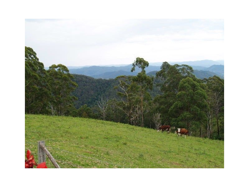 481 Ponsford Road, Comboyne NSW 2429