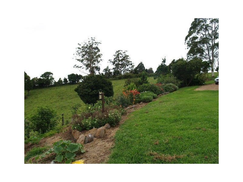481 Ponsford Road, Comboyne NSW 2429