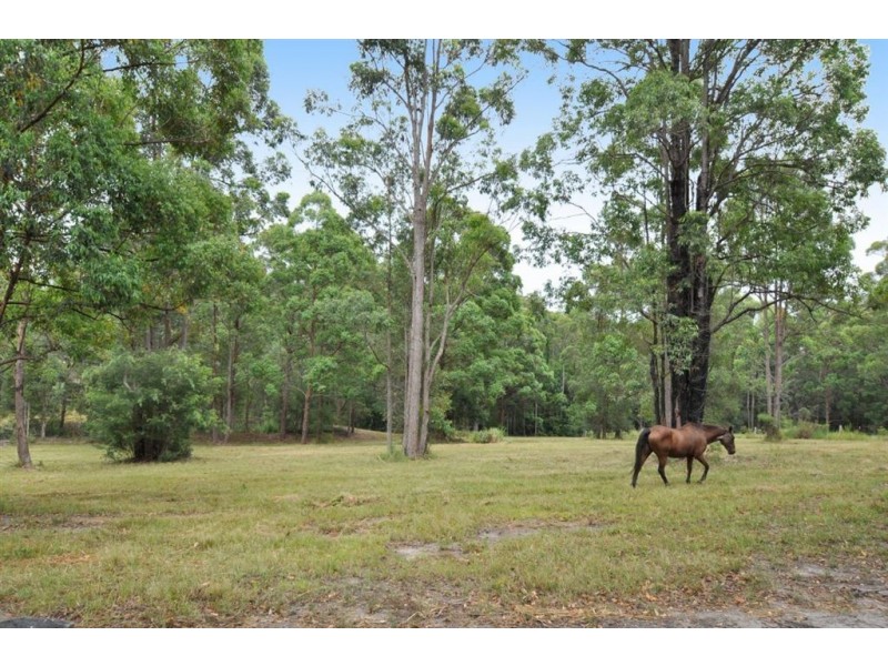 Lot 8 Cadaga Ridge, King Creek NSW 2446