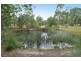 Lot 8 Cadaga Ridge, King Creek NSW 2446
