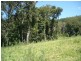 359 Tilbaroo Crossing Road, Toms Creek NSW 2446