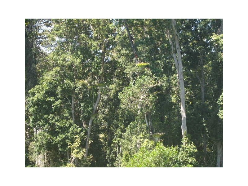 359 Tilbaroo Crossing Road, Toms Creek NSW 2446