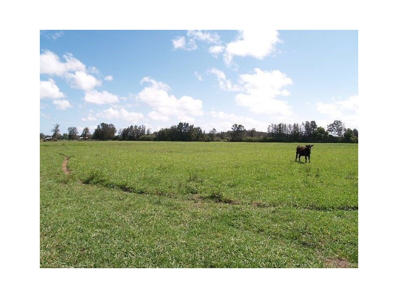 1 Woodlands Grove, Port Macquarie NSW 2444