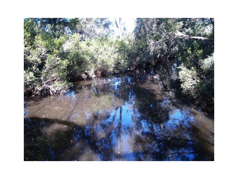 51 King Creek Road, King Creek NSW 2446