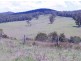 Blk  2/164 Sharkeys Road, Bellangry NSW 2446