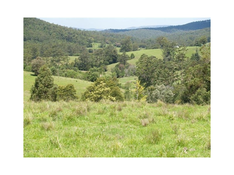 Blk 3/164 Sharkeys Road, Bellangry NSW 2446
