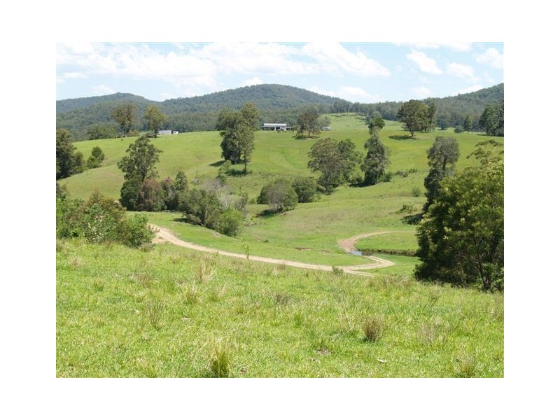 Blk 3/164 Sharkeys Road, Bellangry NSW 2446