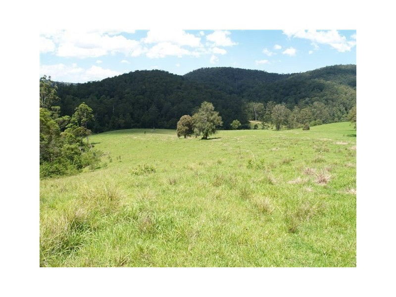 Blk 3/164 Sharkeys Road, Bellangry NSW 2446